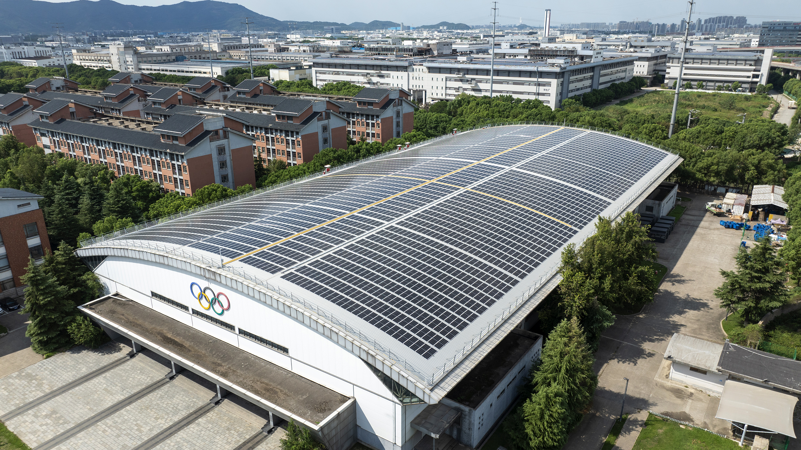 ������˶����������