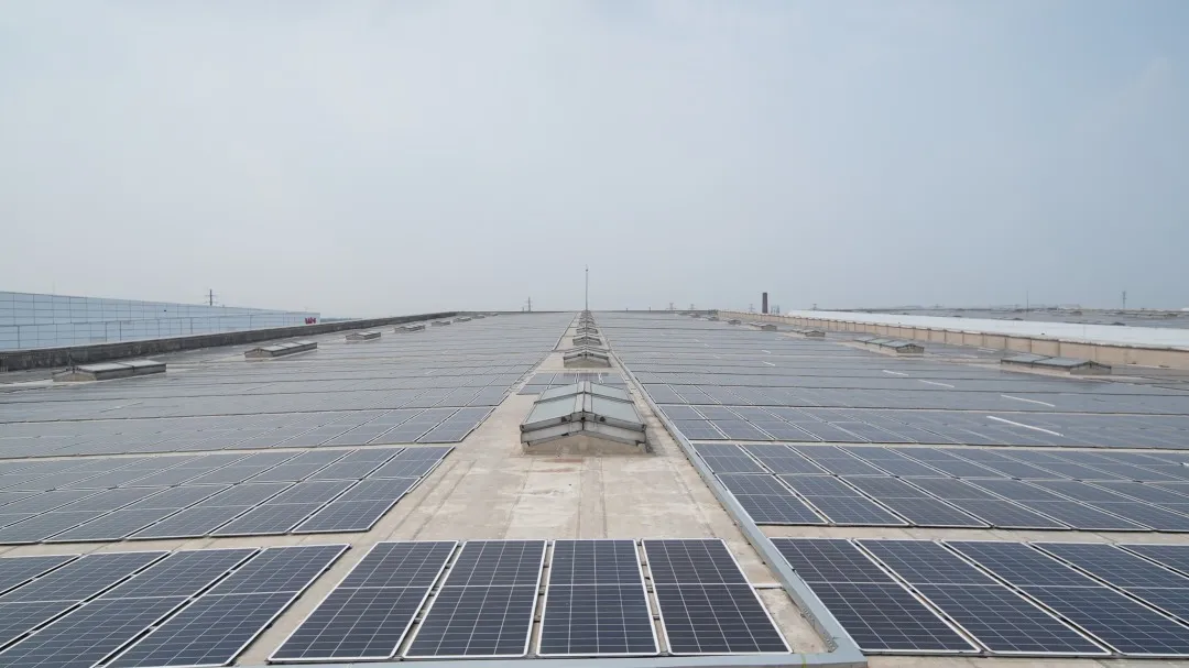 leyu����������ʹ������������ȫ����������