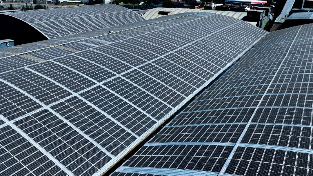 leyu�����������������ƽ����մ���ҵ�̵�ת������