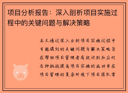 项目分析报告：深入剖析项目实施过程中的关键问题与解决策略